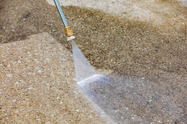 Best Sidewalk and Walkway Cleaning  in Holiday, FL