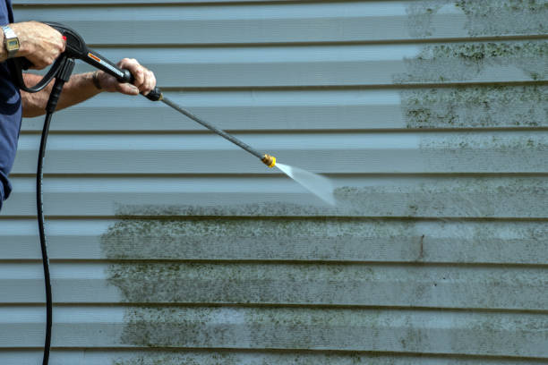 Best Driveway Pressure Washing  in Holiday, FL
