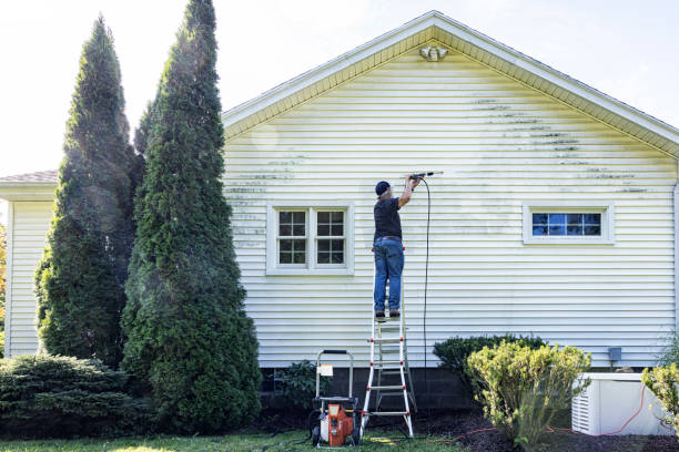  Holiday, FL Pressure Washing Pros