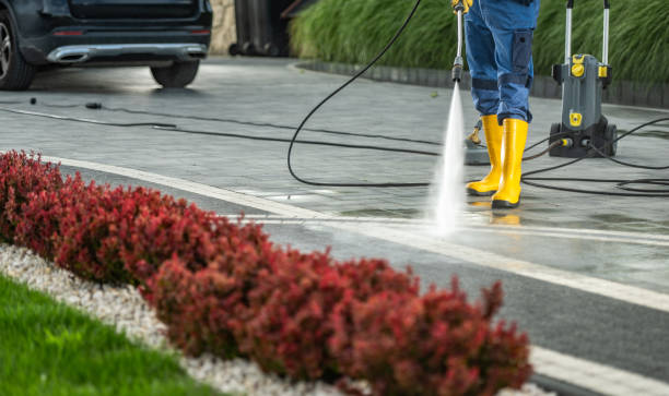 Best Roof Washing  in Holiday, FL