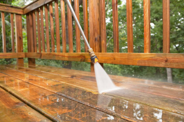 Best Restaurant Pressure Washing  in Holiday, FL